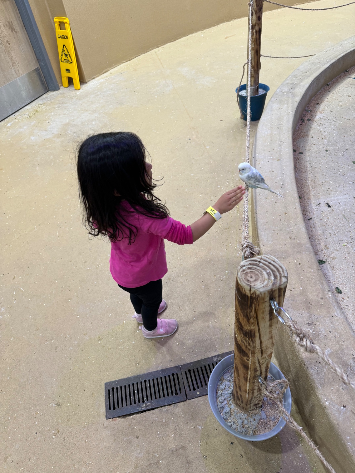 Aria reaching out to gently greet a little bird at the aviary