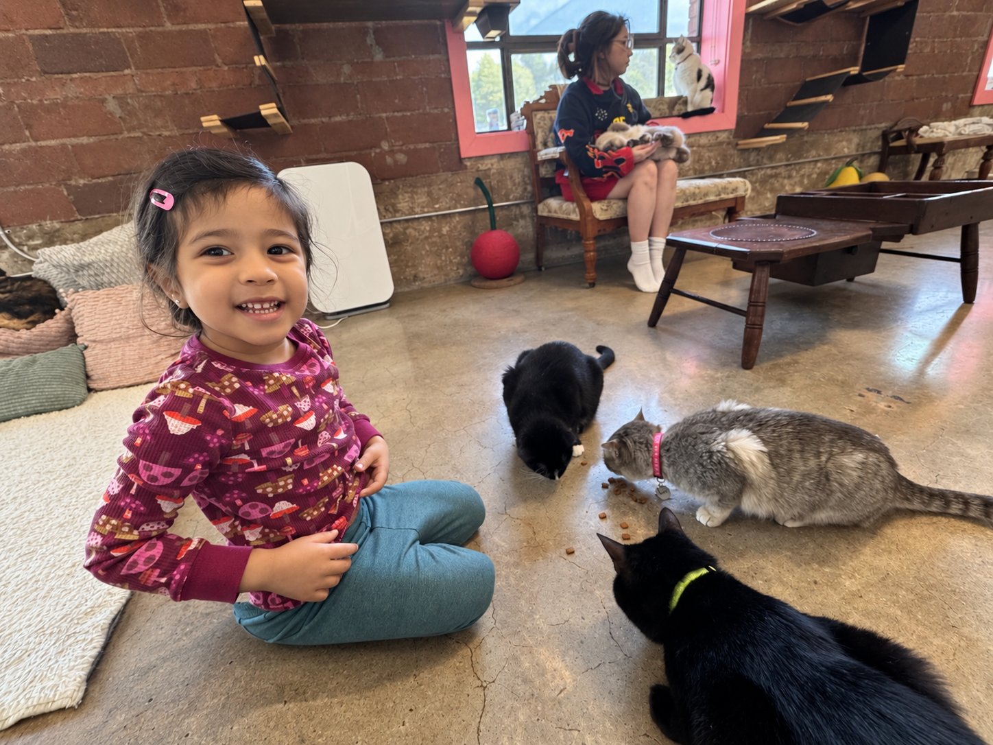 Aria smiling while the cats gather around her at the cat cafe