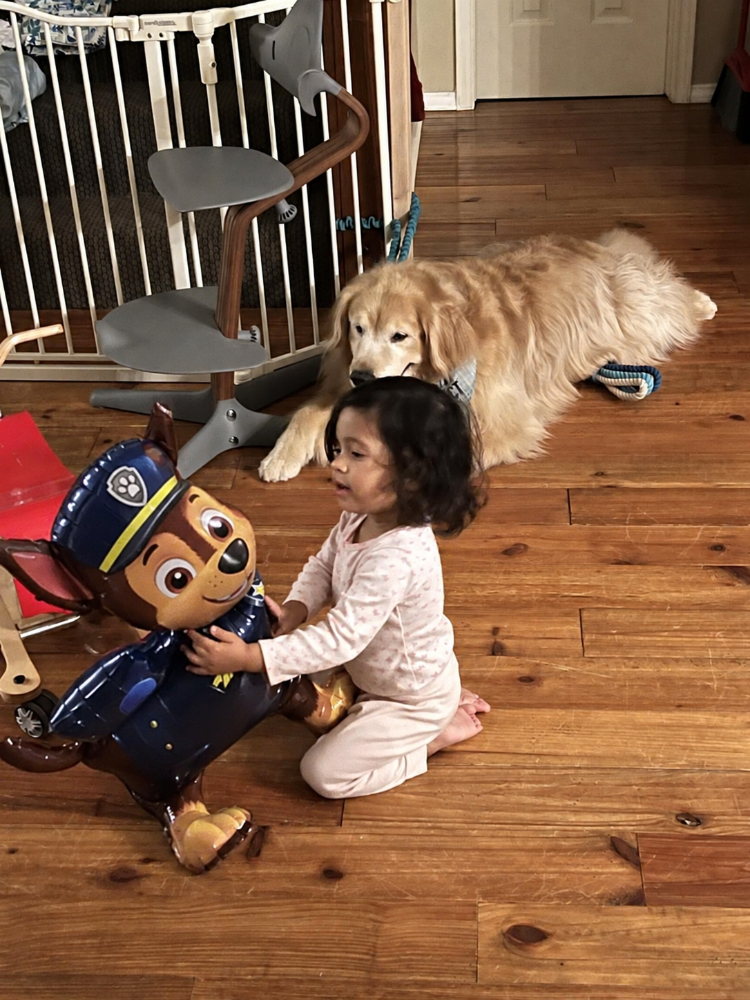 Aria holding her Chase balloon beside her golden retriever